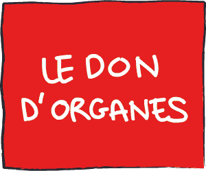 Papiers s’il vous plaît !
