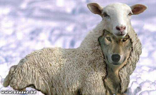 La chienne et le loup.