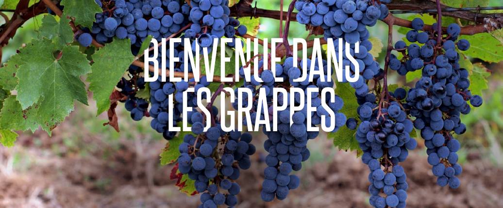 Découvrez Les Grappes : la place communautaire pour la vente de vin