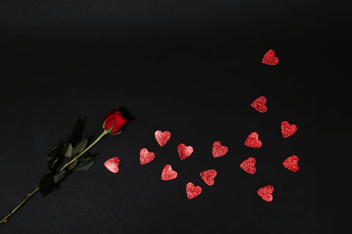 Cette Déclaration d’Amour, 25 Ans Trop Tard