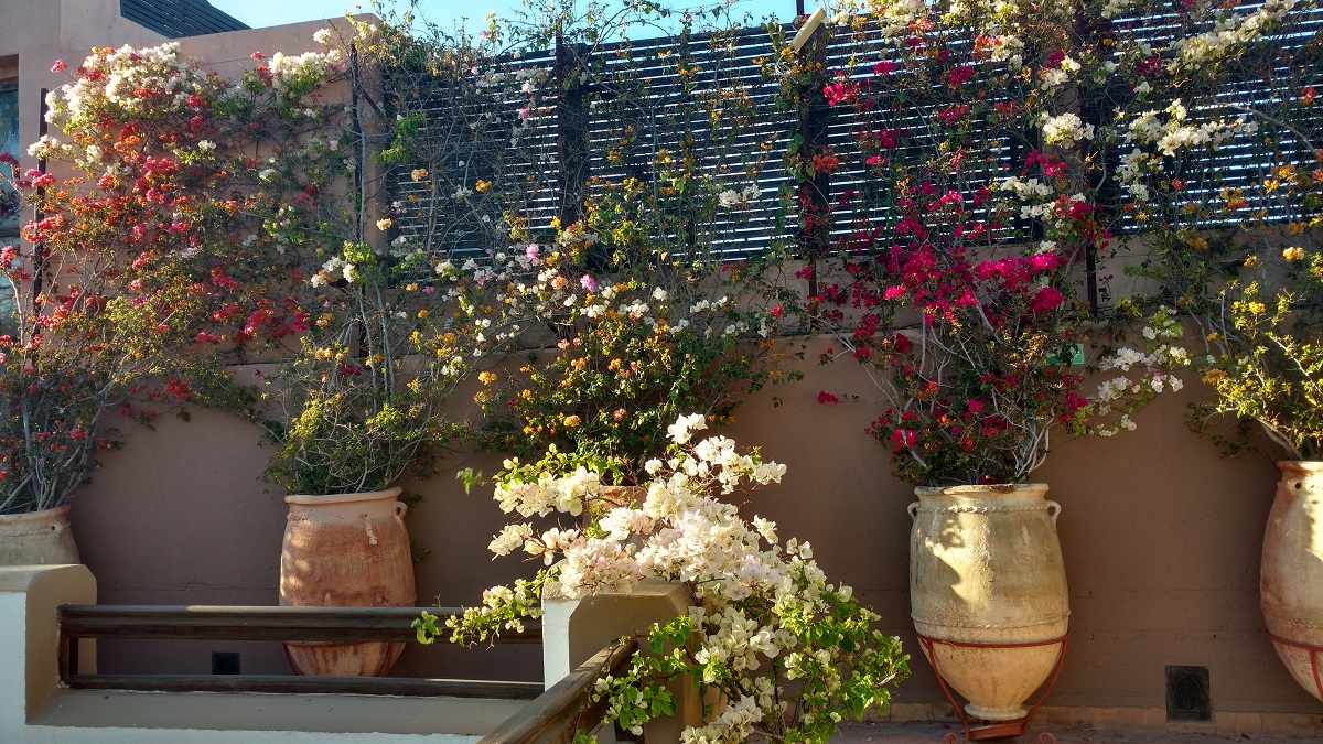 Jardin de la Medina Marrakech