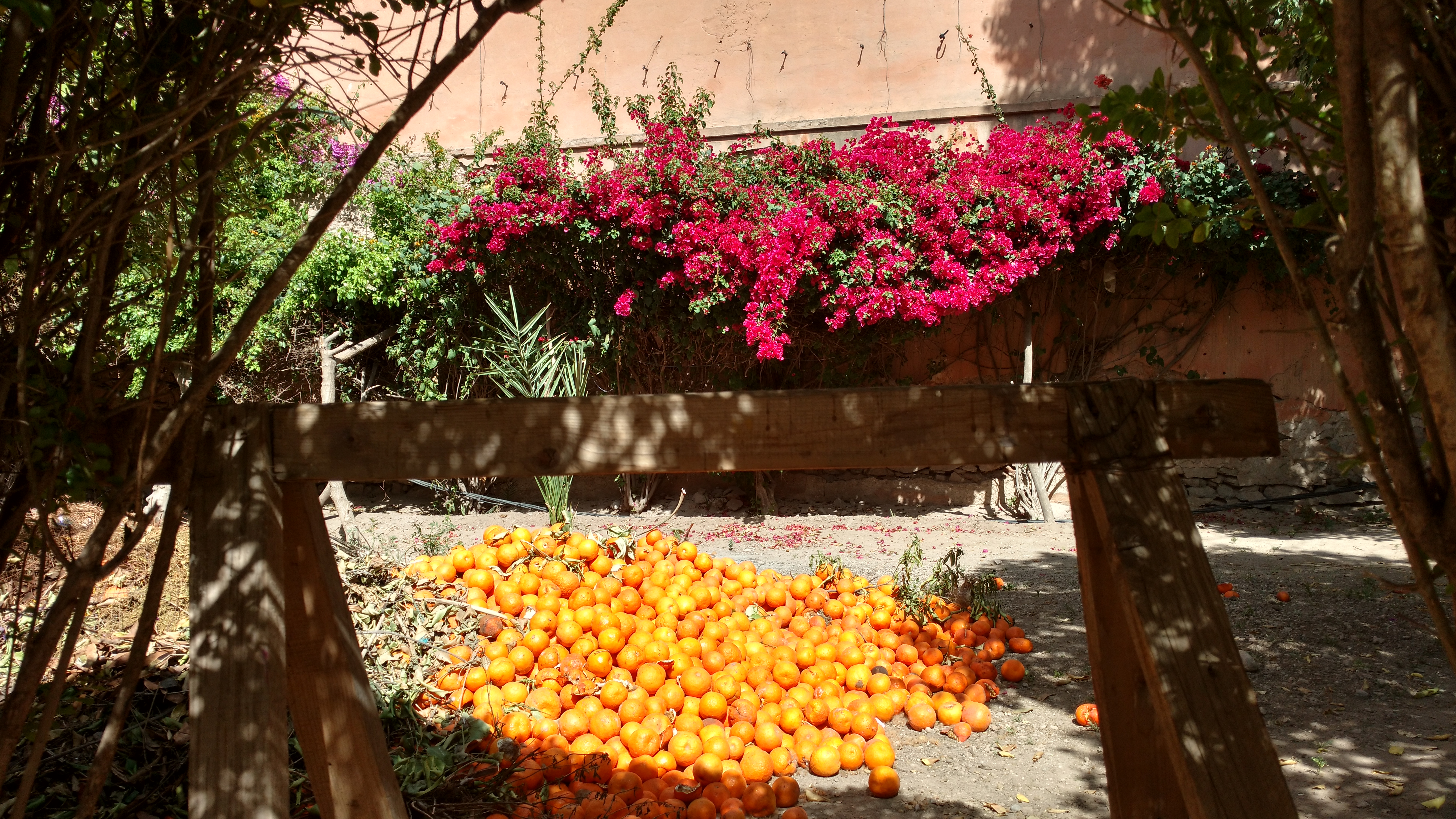 Aux abords du Palais Bahia à Marrakech