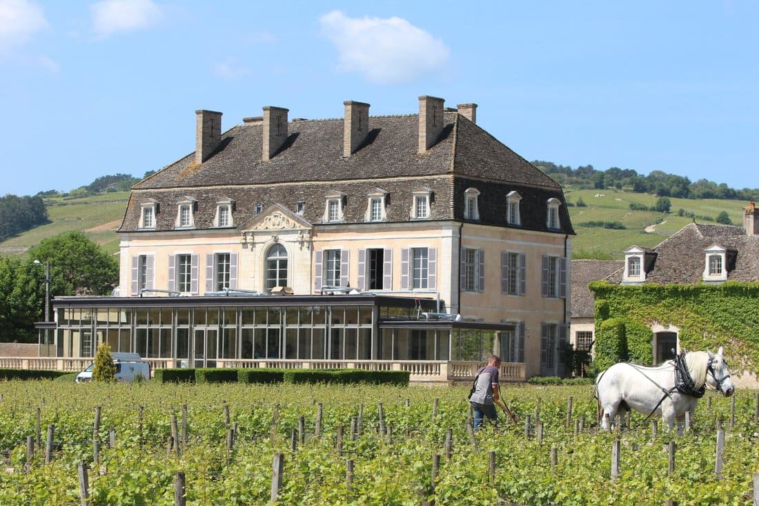 Bio Château de Pommard