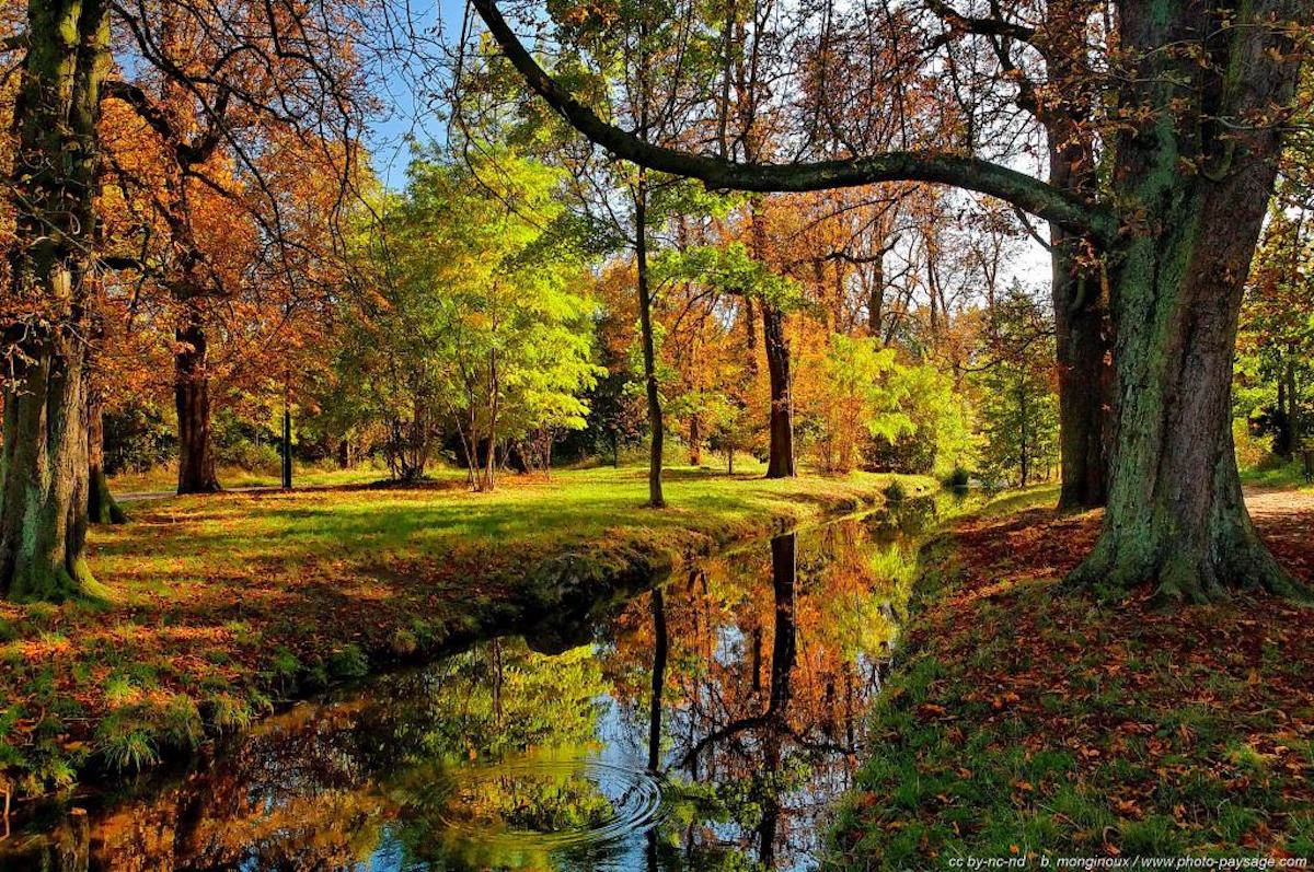 Bois-de-Vincennes