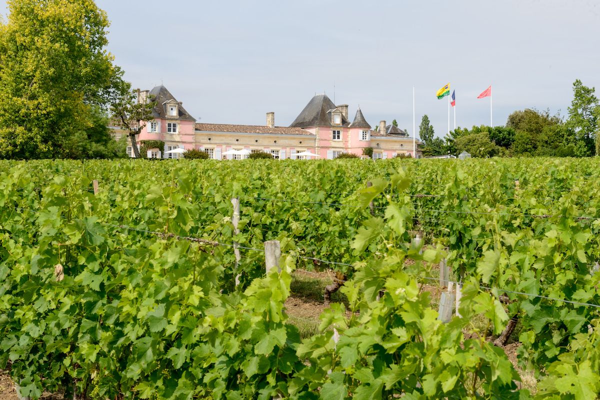 Loudenne : Une Terre, Un Château, Un Vignoble