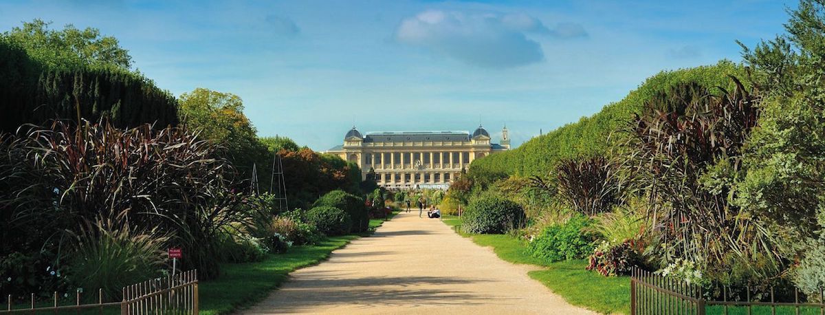 jardin-plantes