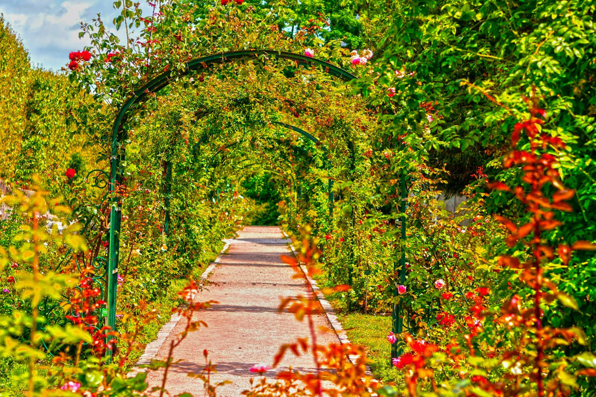 Courir au Jardin des Plantes