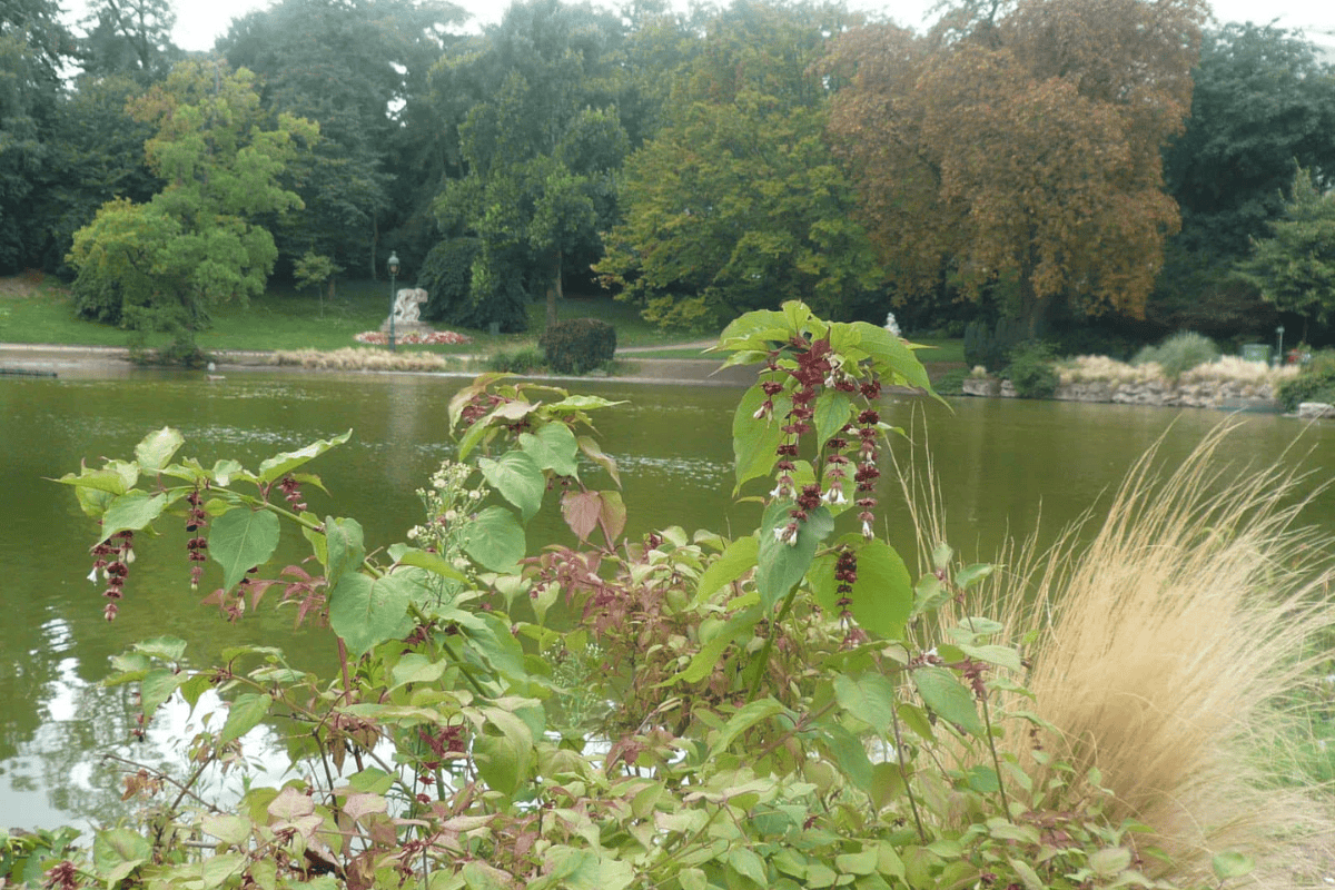 Courir au parc Montsouris