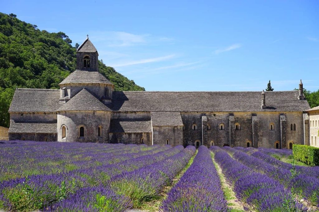 abbaye de sénanque luberon