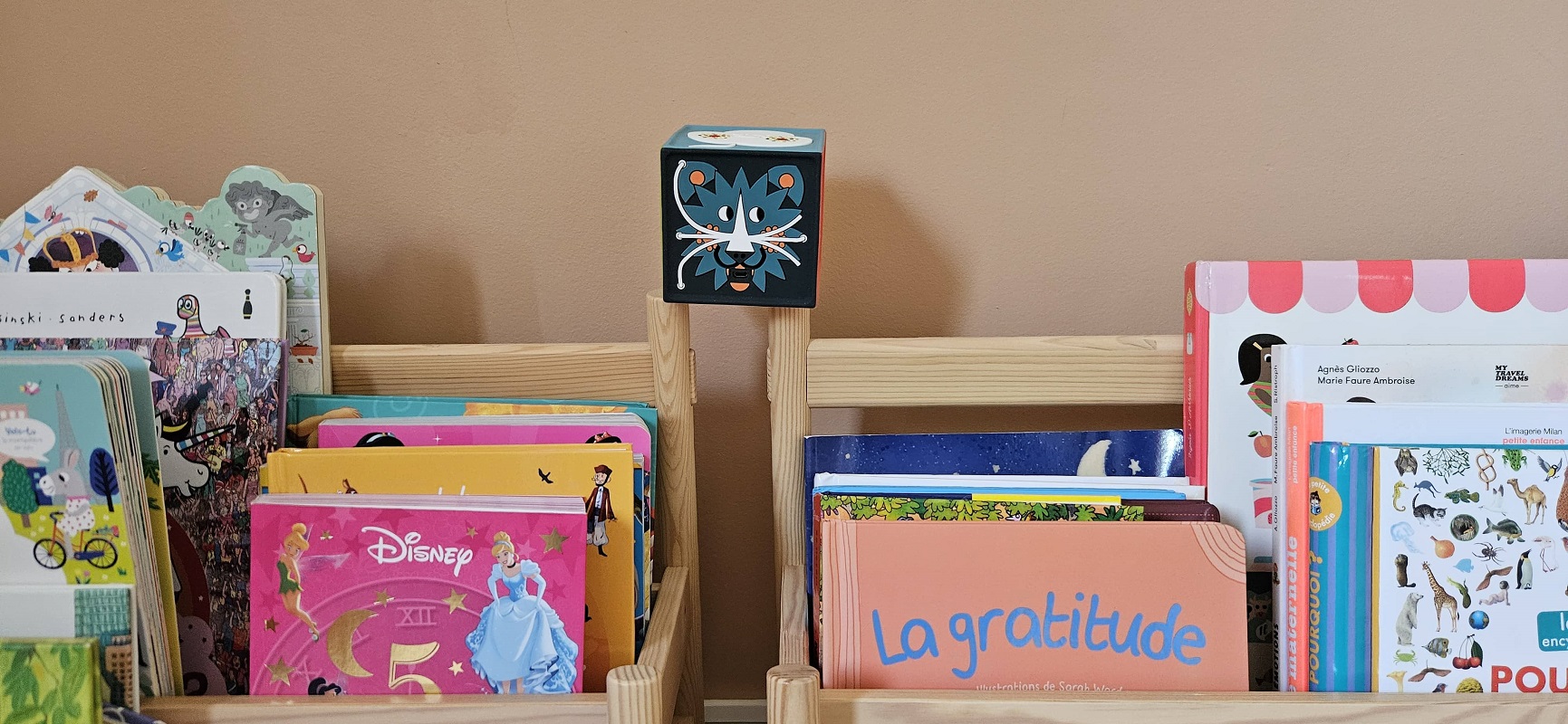 avis sur la conteuse merveilleuse de joyeuse
